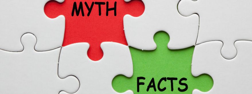 myths vs facts written in puzzle pieces