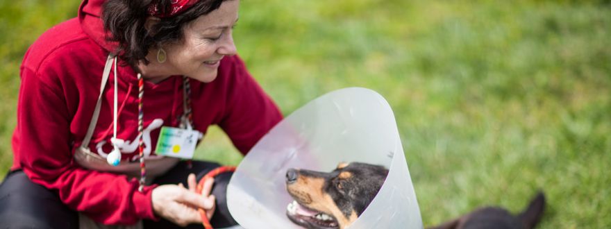 Celebrating with the Humane Society of Sonoma County!