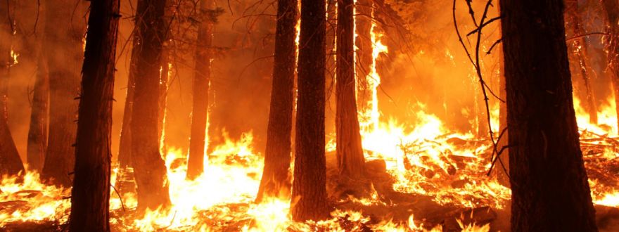 6 Wildfire Evacuation Preparation Tips