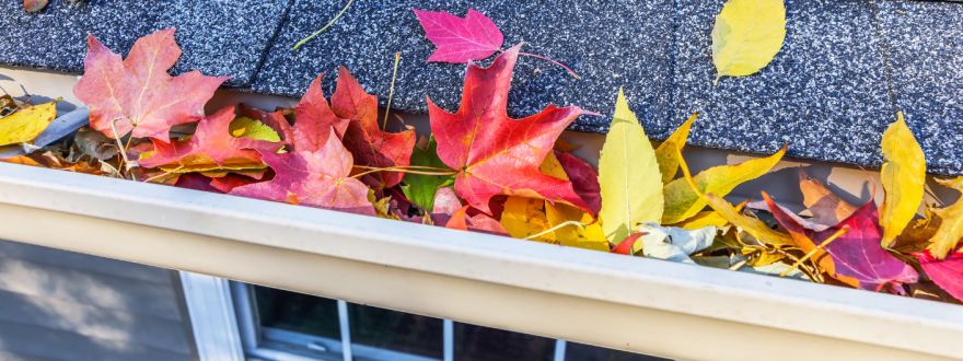  Fall Home Maintenance Checklist for Sonoma County Residents