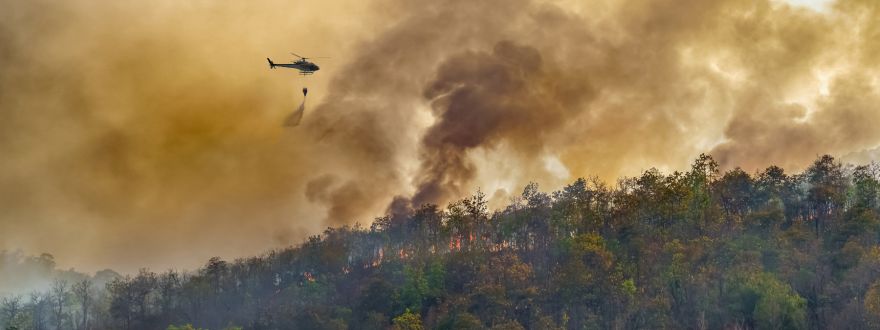 Standing Together: Support for LA Wildfire Victims from Sonoma County