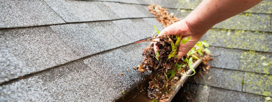Don’t Forget Your Gutters!