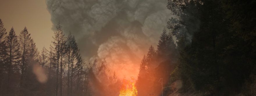 Fire Season in Sonoma County: Remembering and Preparing
