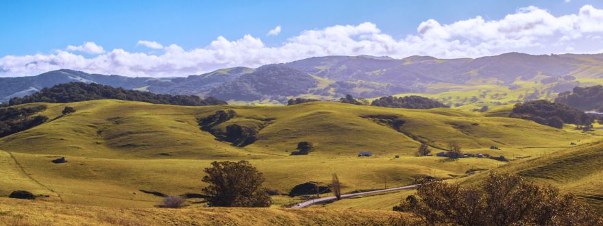 Admitted vs. Non-Admitted Insurance Explained