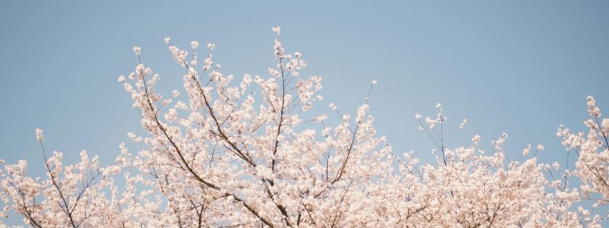 Spring Cleaning for Your Home (and Your Insurance!)