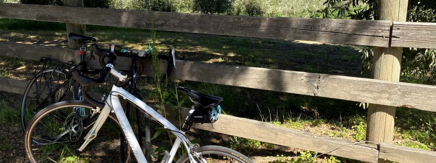 May is National Bicycle Month!