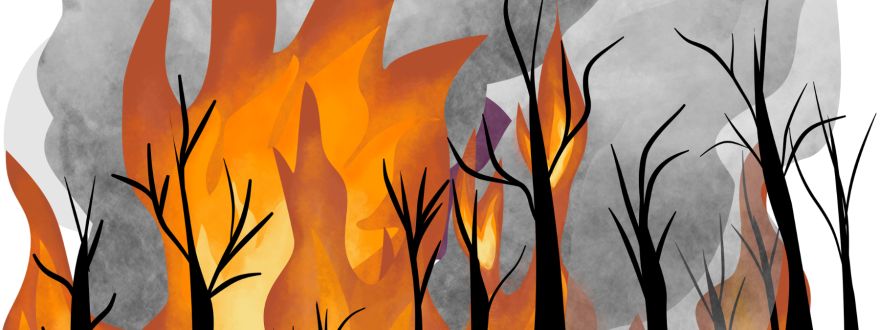 Are You Ready for Wildfire Season? A Practical Checklist for Sonoma County Residents