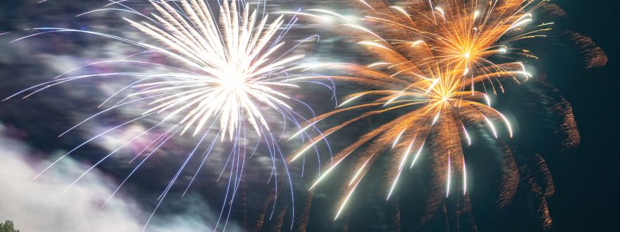 Celebrate Safely This Fourth of July: Protect Your Home, Family & Pets