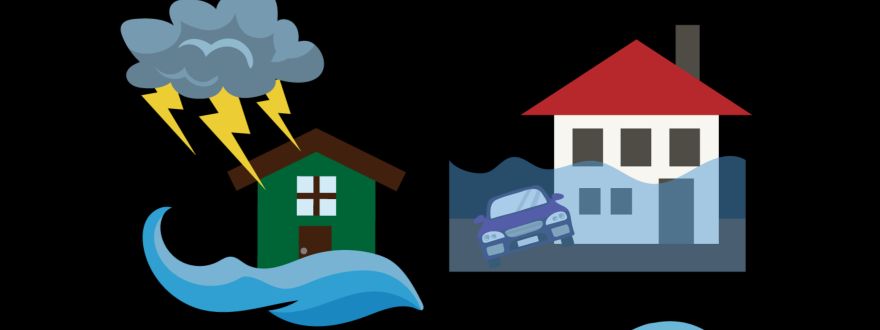 insurance