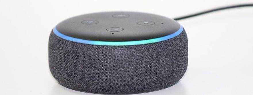 Do Devices Like Amazon’s Echo and Alexa Create Personal Liability?