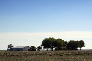 Sabinal, Texas Farm & Ranch Insurance