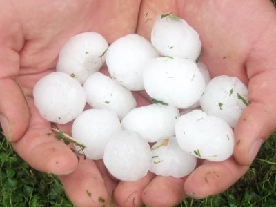 Minnesota Crop Insurance