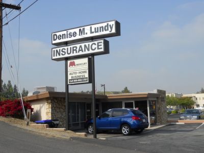 Welcome to Denise M Lundy Insurance