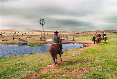 New York Farm & Ranch Insurance