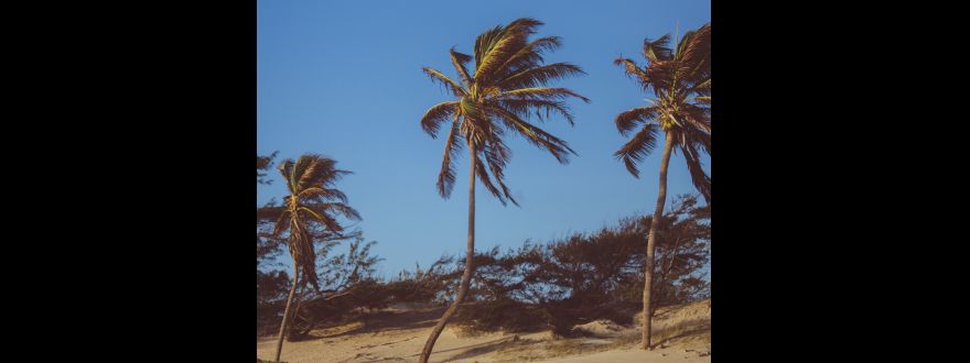 I own a home, Is there a difference between wind insurance, hailstorm insurance, and hurricane insurance in Florida?