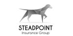 Steadpoint Insurance Group