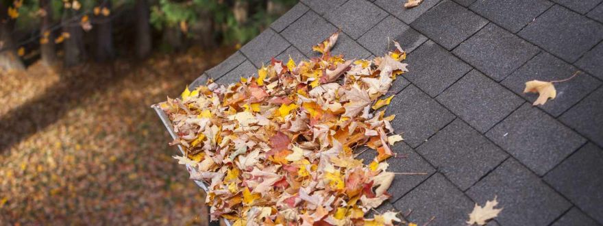 Fall's Hazards