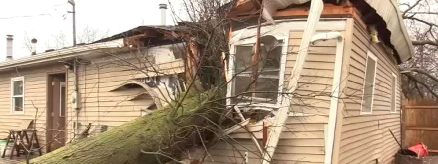 House Tree Damage