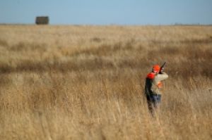 Clay, Hunting, Rod & Gun Clubs