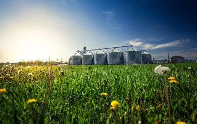 Thornton Colorado & Denver Metro Crop Insurance