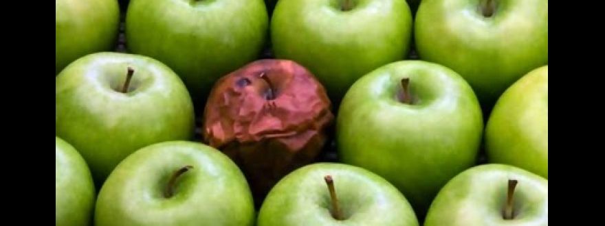Rotten Apples