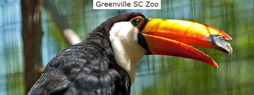Greenville, SC Zoo