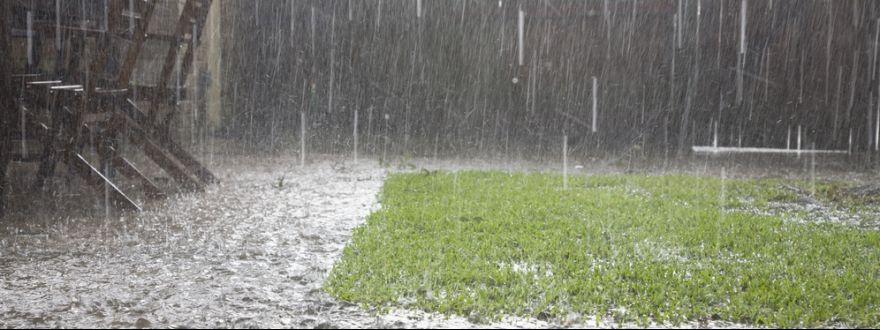 Get storm ready so you don't have to worry if you are covered