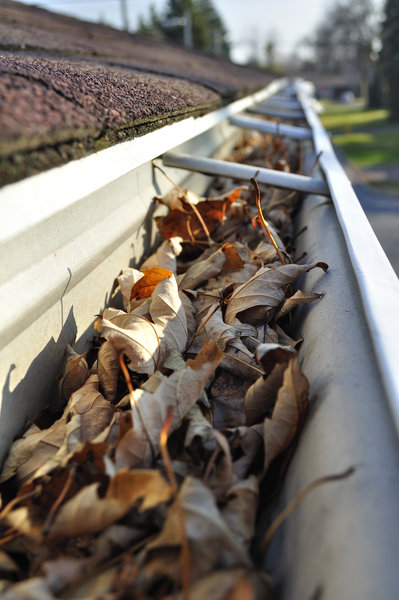 clean gutters as part of your annual maintenance