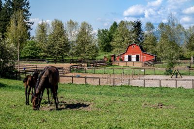 Farm & Ranch Insurance Policies