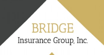 Bridge Insurance Group