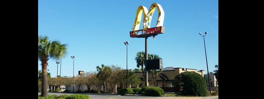 Hurricane Michael, week 1