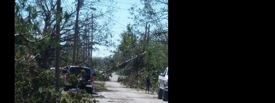 Hurricane Michael, week 2