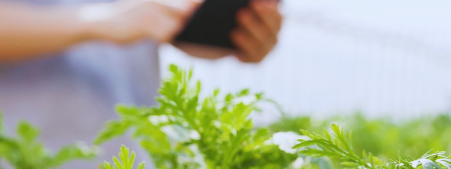 man using tablet over field