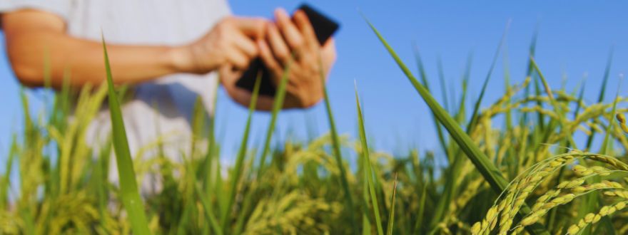 man doing business on a field