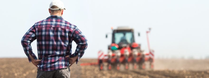 farmer watching tracker till the field