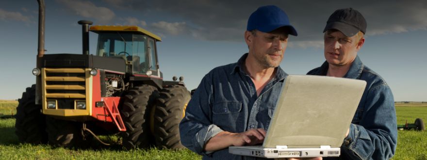 two farmers looking at their computer in the field