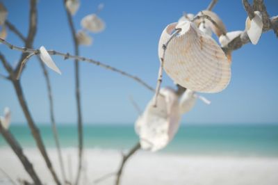 About Pensacola Premier Insurance
