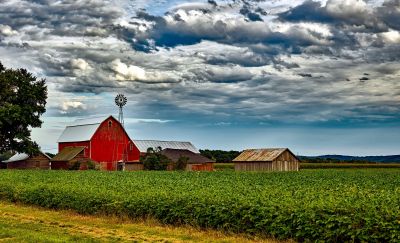 Farm & Ranch Insurance