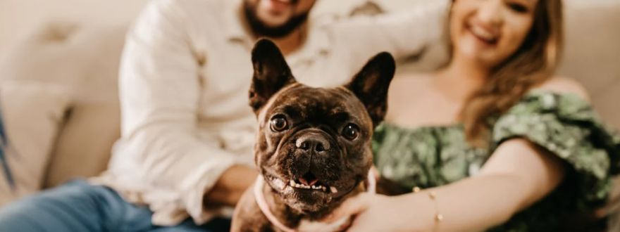 Benefits of Having Pet Insurance in Dallas